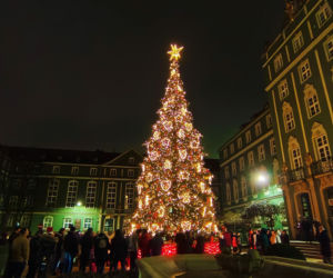 Choinka przed urzędem miasta w Szczecinie