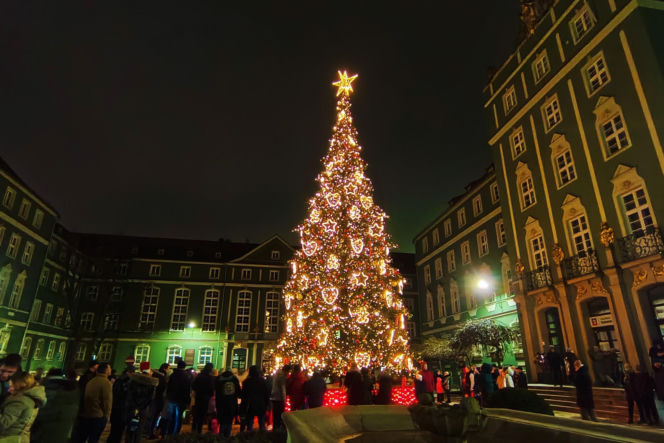 Choinka przed urzędem miasta w Szczecinie