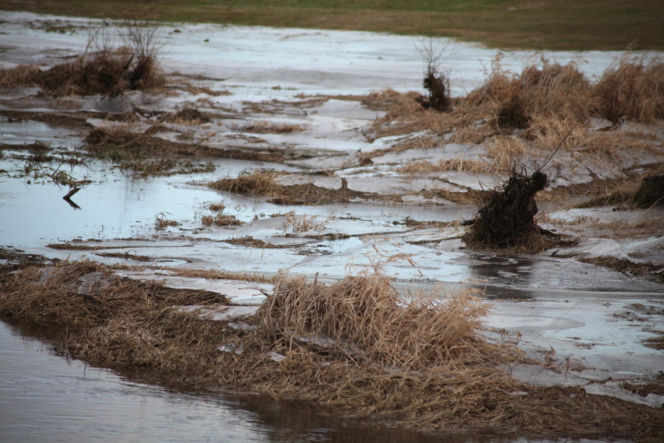 Bracia zginęli pod lodem. Tragedia w Mokobrodach