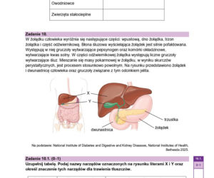 Próbna matura 2026 biologia. WSZYSTKIE arkusze CKE i odpowiedzi 14.01.