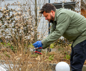 Wiosenne porządki w ogrodzie