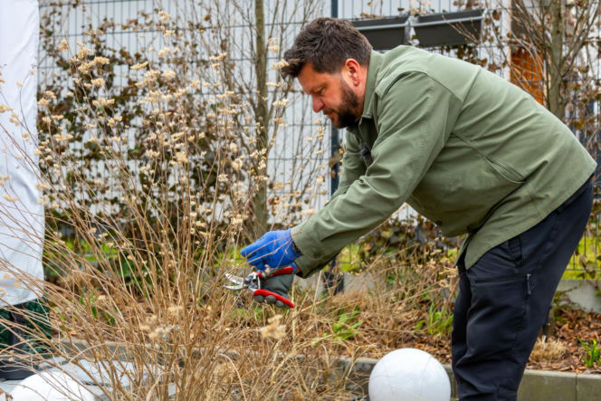 Wiosenne porządki w ogrodzie