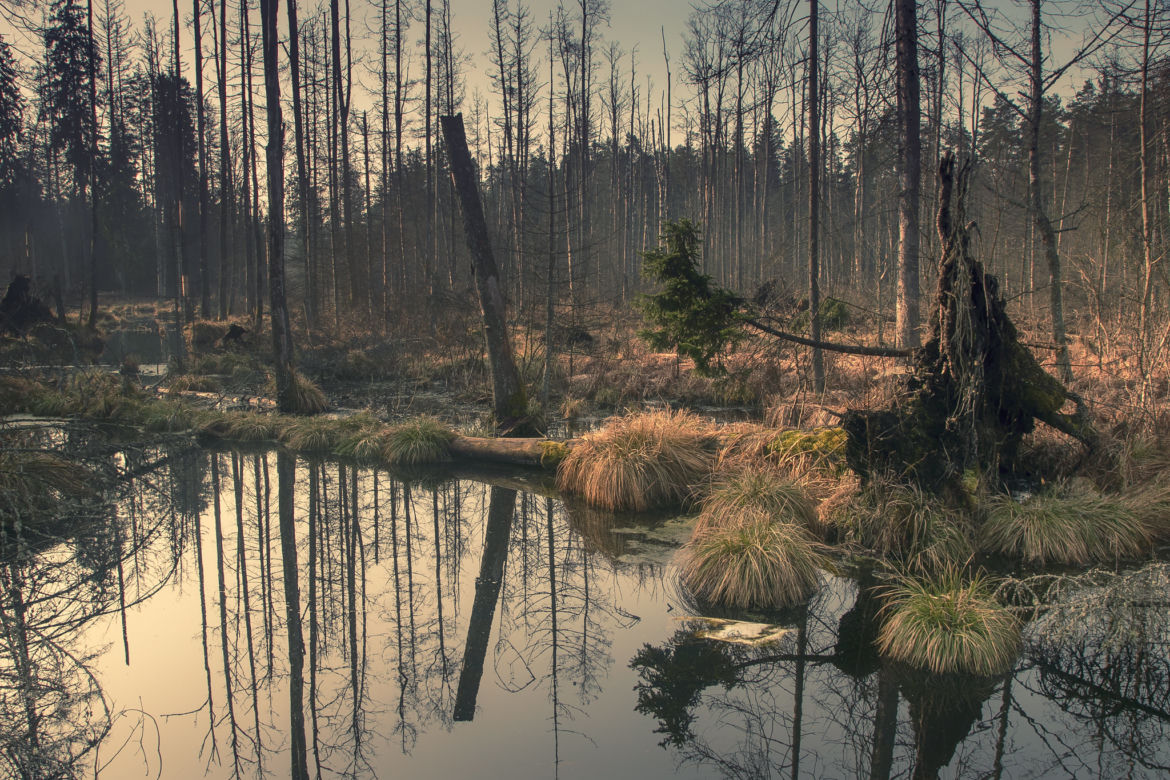 Magiczne Podlasie w obiektywie Małgorzaty Pawelczyk