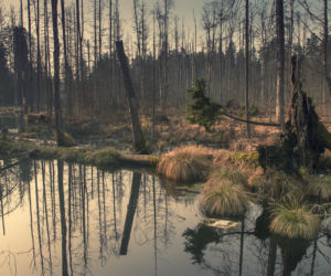 Magiczne Podlasie w obiektywie Małgorzaty Pawelczyk