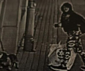 ŁÓDŹ: SZOKUJĄCA KRADZIEŻ psa spod apteki! Staruszka jest ZROZPACZONA! Mieli tylko siebie
