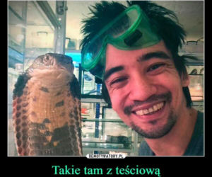 Tych memów o teściowych nie pokażesz mamie! Internauci nie mają litości