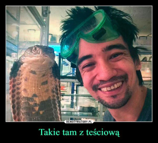 Tych memów o teściowych nie pokażesz mamie! Internauci nie mają litości