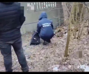 Miesiącami znęcał się nad swoją partnerką, nie oszczędził też jej psa. Wyrzucił Maltańczyka przez okno!