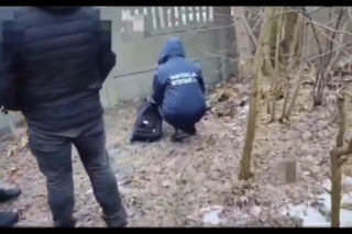 Miesiącami znęcał się nad swoją partnerką, nie oszczędził też jej psa. Wyrzucił Maltańczyka przez okno!