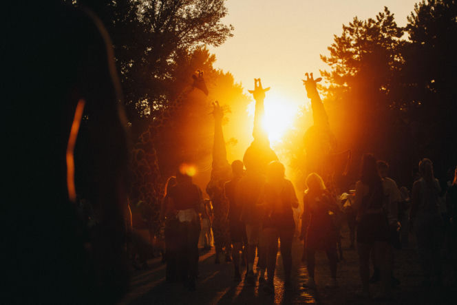 Sziget Festival 2026