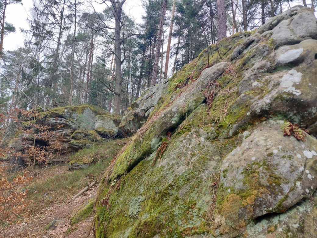 Rezerwat Przyrody "Skały pod Adamowem"
