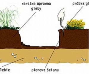 Gleba kwaśna czy zasadowa?