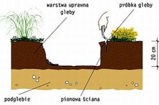 Gleba kwaśna czy zasadowa?