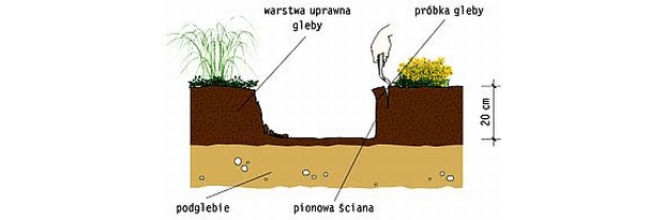 Gleba kwaśna czy zasadowa?
