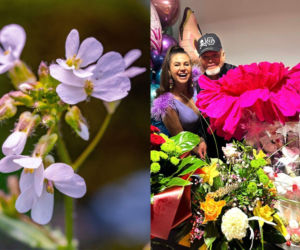 Rzeżuchy które wyglądają jak Krzysztof Rutkowski i jego legendarne fryzury