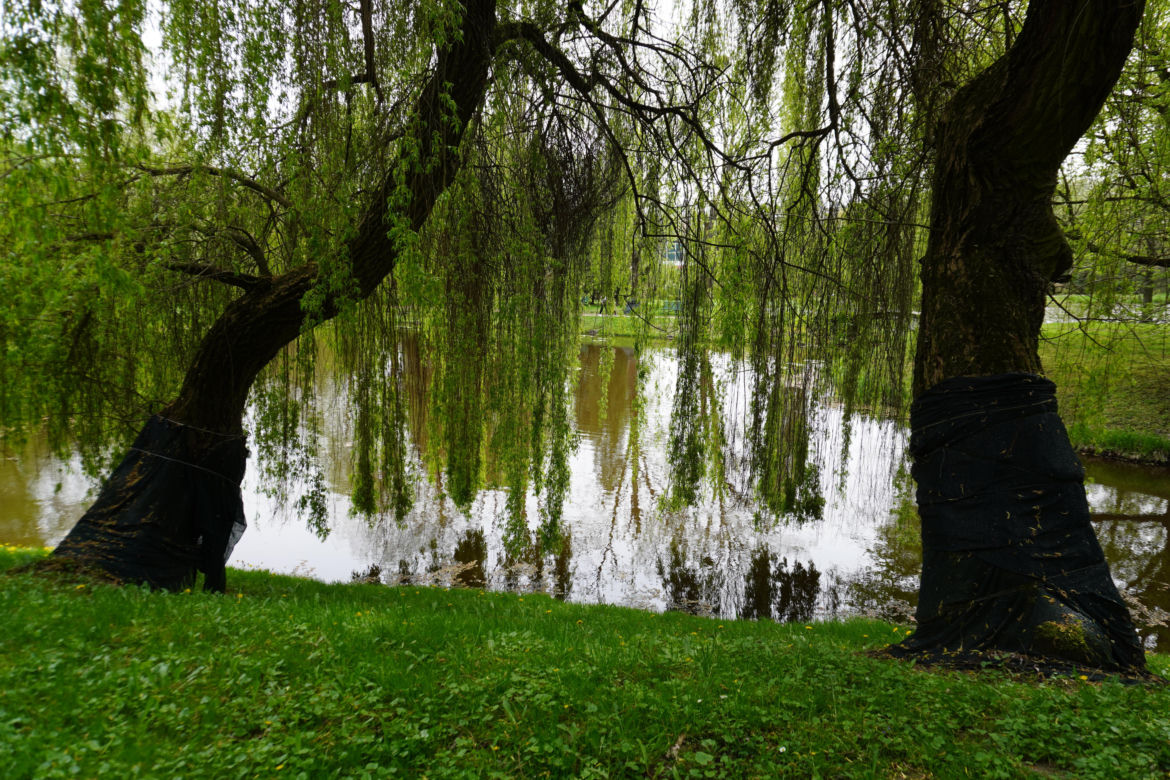 Ogród Botaniczny w Lublinie