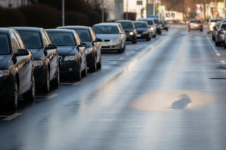 Wnuczki premiera na spacerze pod nadzorem. Jak SOP reaguje po głośnej kradzieży?