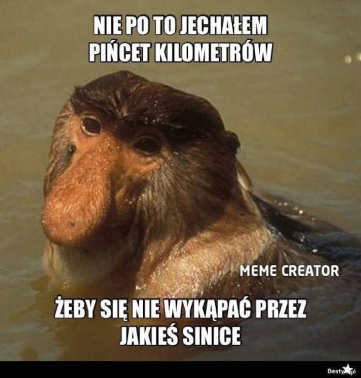 Wakacje rozpoczęte! Polacy ruszyli na plaże! Zobacz najlepsze MEMY!