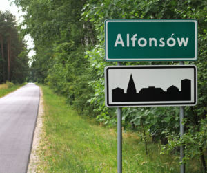 Alfonsów (pow. płocki)