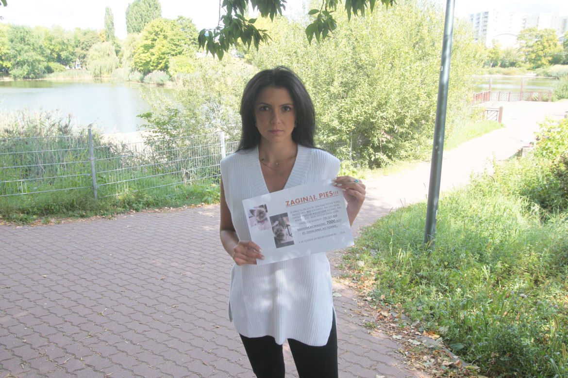 Warszawa, Ochota. Tęsknie za moim skarbem. „Oddam ci psa za 3500 złotych”