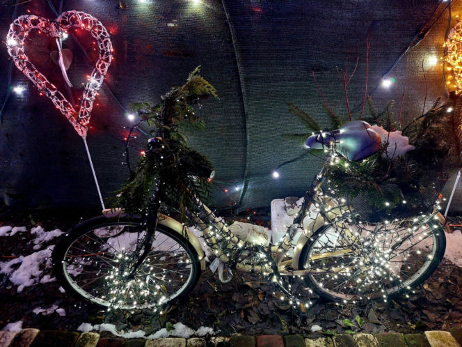 Dom bydgoskich Griswoldów znów rozbłysł. "Powieśiliśmy 300 tysięcy lampek. Przygotowywaliśmy jej od lipca!"