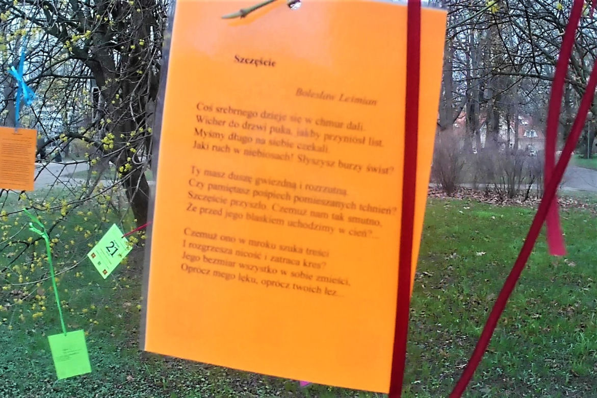 Światowy Dzień Poezji w Szczecinie