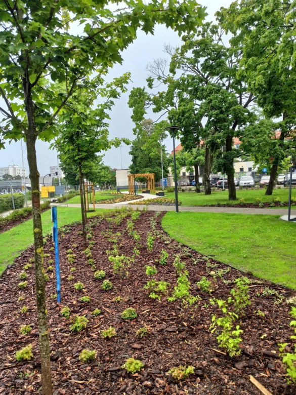 "Ukraińskie ustronie" to nowy toruński park kieszonkowy