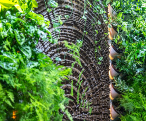 BUDMA 2026 - zdjęcia