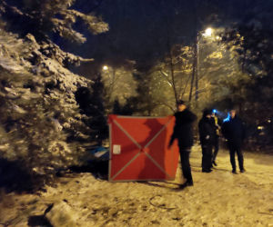 Utopili się ratując amstaffa