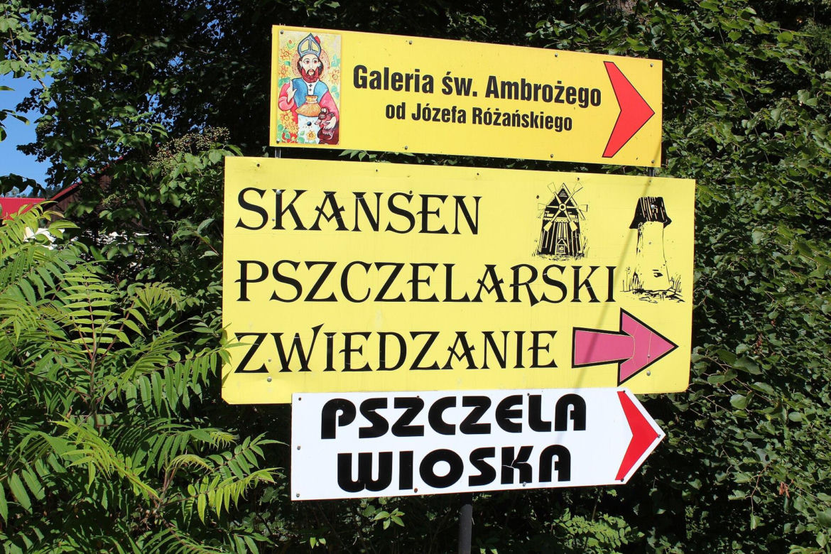 Kamianna. Zapomniana małopolska wieś to światowe centrum apiterapii 