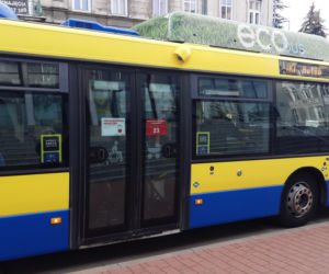 Solski autobus bajkowy