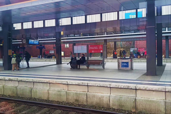 Transport publiczny w Niemczech