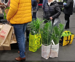 Festiwal Roślin w Enea Arenie