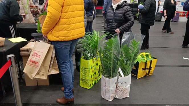 Festiwal Roślin w Enea Arenie
