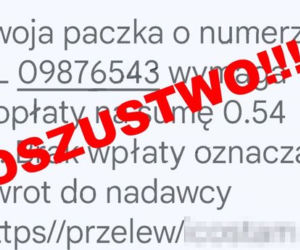 Bezczelni oszuści atakują na terenie woj. kujawsko-pomorskiego. Takie wiadomości wysyłają