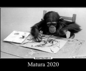 Matura 2020: MEMY o Podlasiu. Maturzyści śmieją się z przecieków
