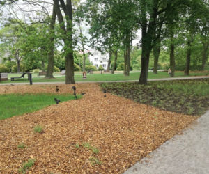 Park Glazja