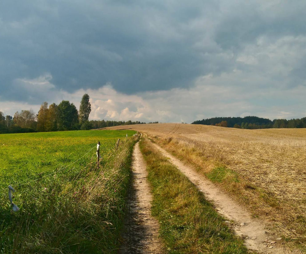 Złota jesień. Takich widoków potrzebujemy! [ZDJĘCIE DNIA]