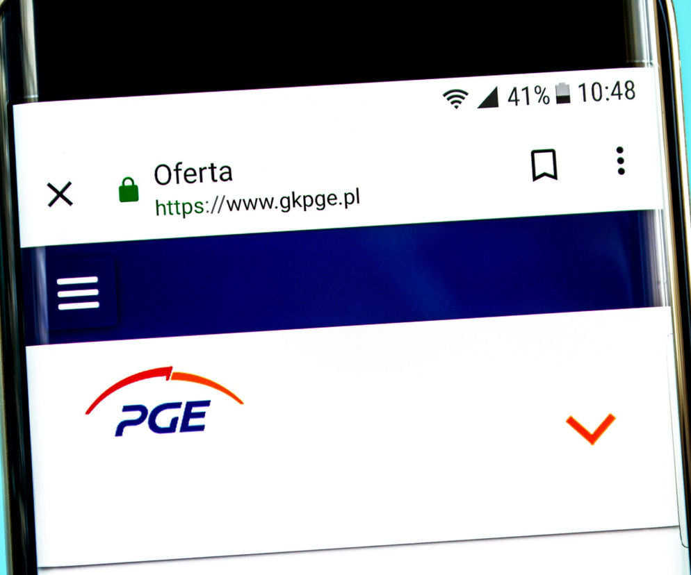 NBP, ZUS, Tauron, PGE, Energa, JSW, KGHM, LOT, PKP, Orlen, Lotos, Ruch, Inpost, CD Projekt, PKO BP, Pekao SA, Alior