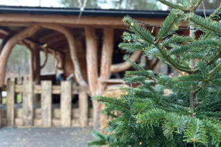 Żywa szopka w Lipowicy – magiczne święta tuż obok Kielc