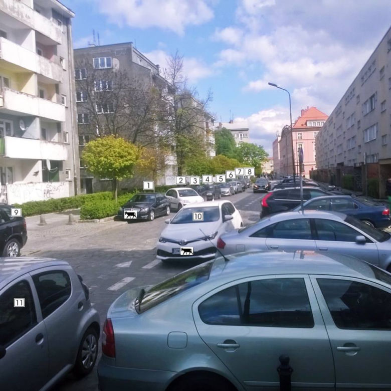Tak potrafią parkować we Wrocławiu