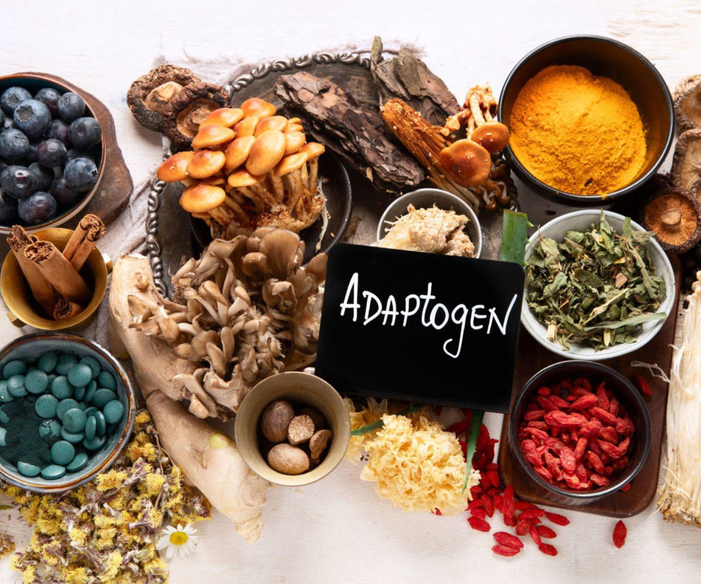 Czujesz się przebodźcowana i zmęczona? Adaptogeny to naturalny sposób, by Twój organizm wrócił do równowagi