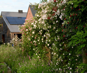 Remont domu z lat 30. i wiejski ogród