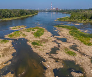 Niski stan wody w Wiśle w Warszawie, 5.08.2026