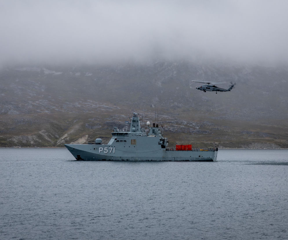 Duńskie siły morskie