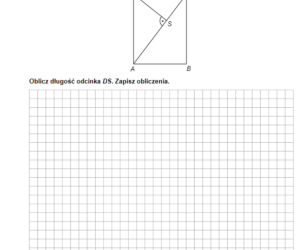 Egz ósmoklasisty 2021 matematyka