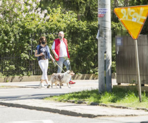 Michał Kamiński z żoną Anną oraz psem, owczarkiem australijskim