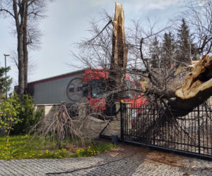 Nowy Sącz. Ciężarówka uderzyła w drzewo i zwaliła je na prywatną posesję. Jedna osoba poszkodowana