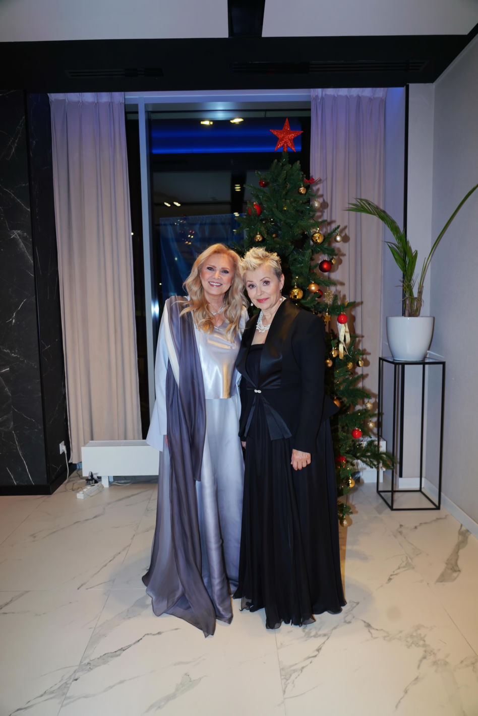 Gala gwiazd na gwiazdkę