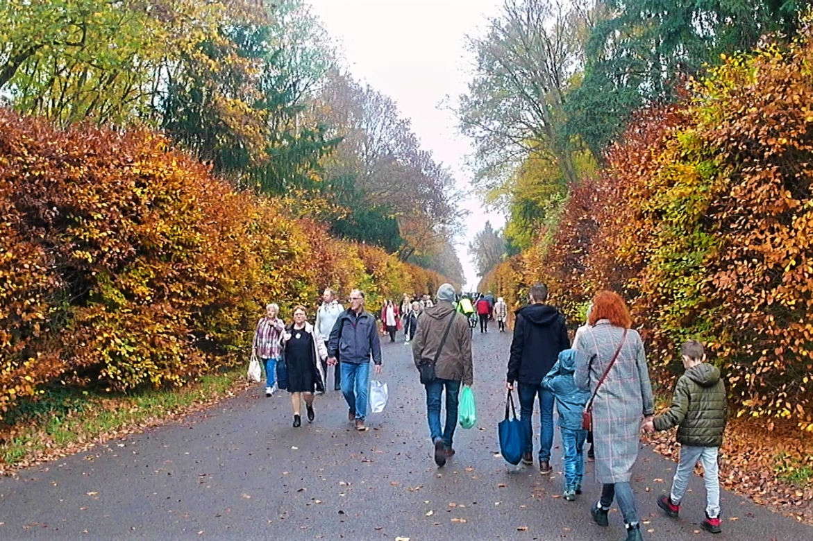 Dzień Wszystkich Świętych na Cmentarzu Centralnym w Szczecinie